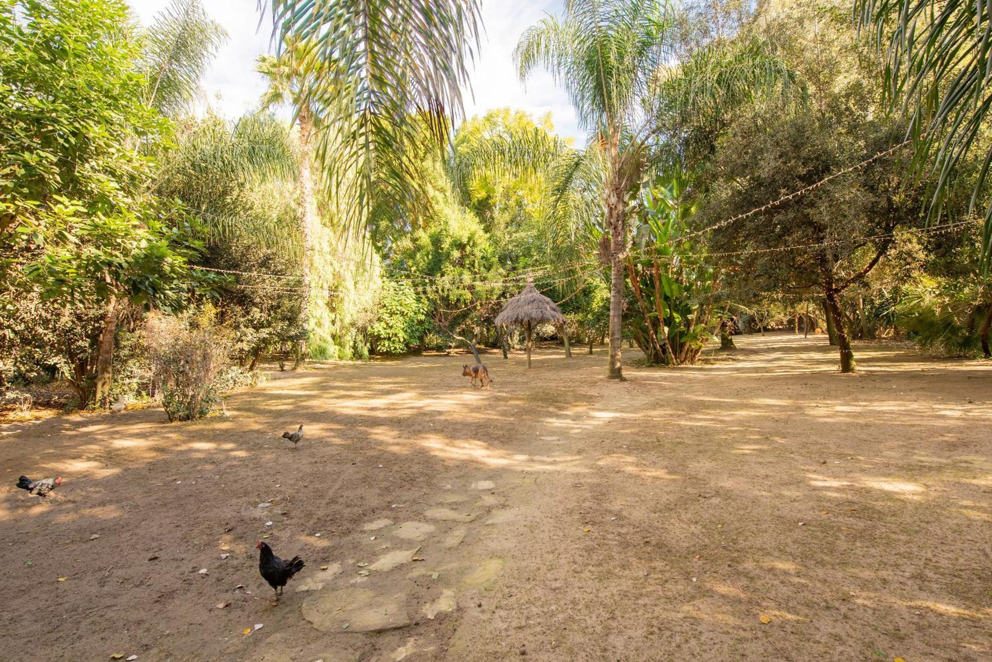 Cortijo rural las aves Villa Jimena De La Frontera Exterior photo