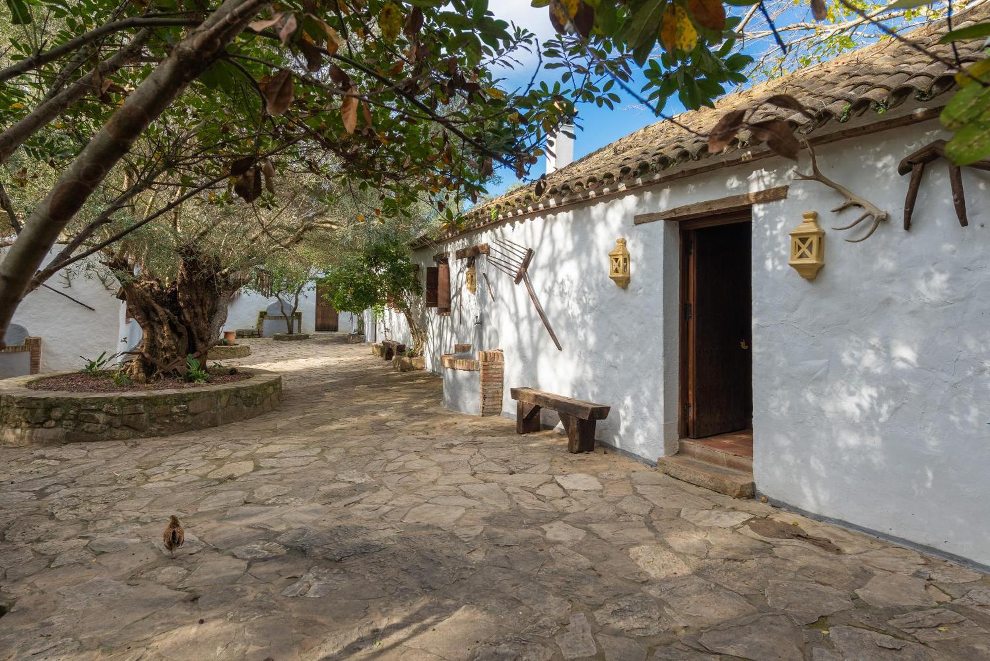 Cortijo rural las aves Villa Jimena De La Frontera Exterior photo